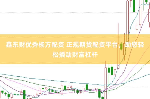 鑫东财优秀杨方配资 正规期货配资平台，助您轻松撬动财富杠杆