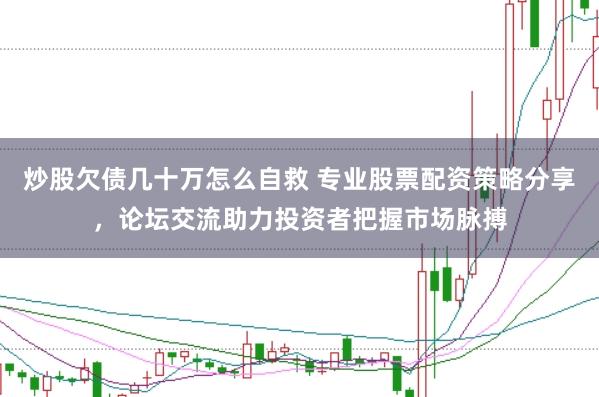 炒股欠债几十万怎么自救 专业股票配资策略分享，论坛交流助力投资者把握市场脉搏