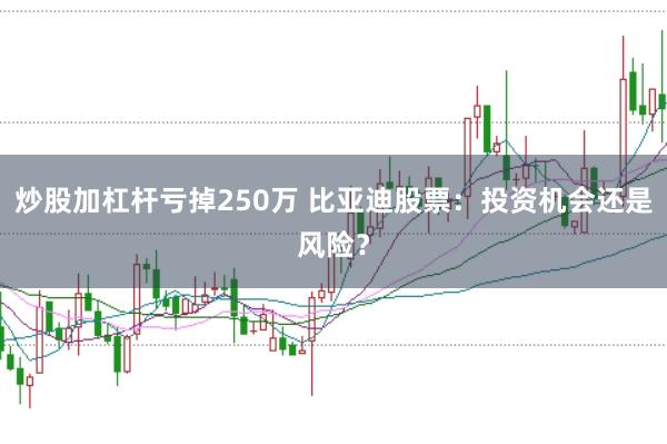 炒股加杠杆亏掉250万 比亚迪股票：投资机会还是风险？