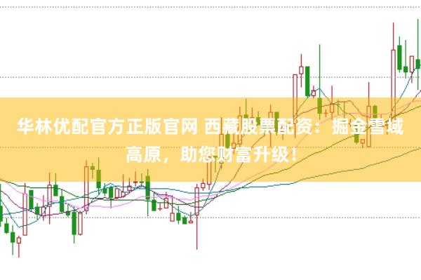 华林优配官方正版官网 西藏股票配资：掘金雪域高原，助您财富升级！