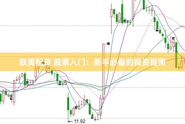 联美配资 股票入门：新手必备的投资指南
