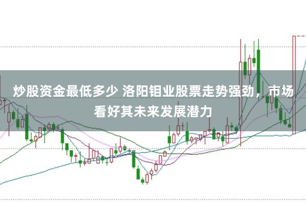 炒股资金最低多少 洛阳钼业股票走势强劲，市场看好其未来发展潜力