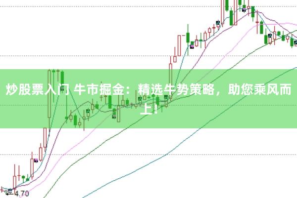炒股票入门 牛市掘金：精选牛势策略，助您乘风而上！