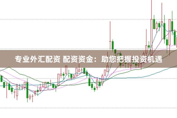 专业外汇配资 配资资金：助您把握投资机遇
