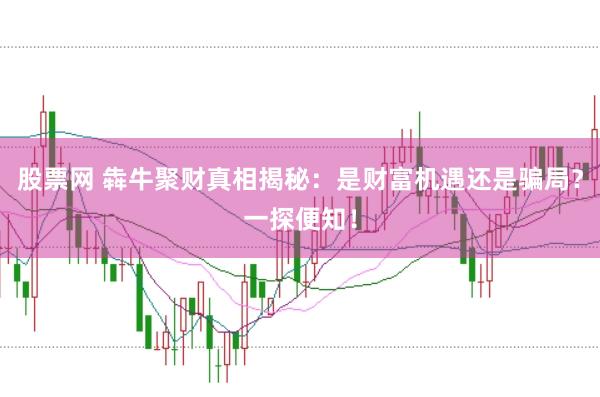 股票网 犇牛聚财真相揭秘：是财富机遇还是骗局？一探便知！