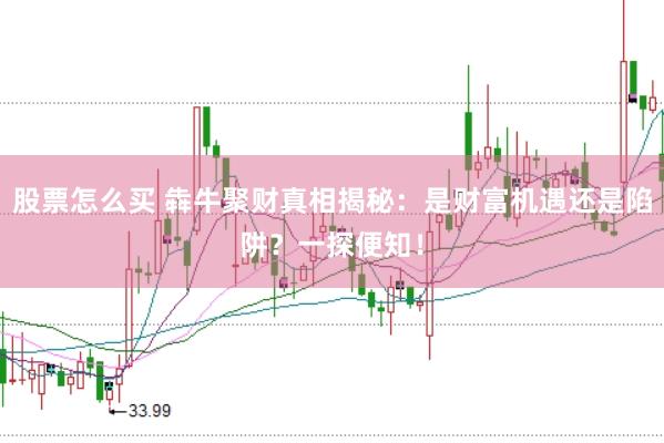 股票怎么买 犇牛聚财真相揭秘：是财富机遇还是陷阱？一探便知！