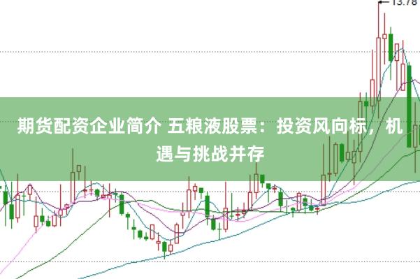 期货配资企业简介 五粮液股票：投资风向标，机遇与挑战并存