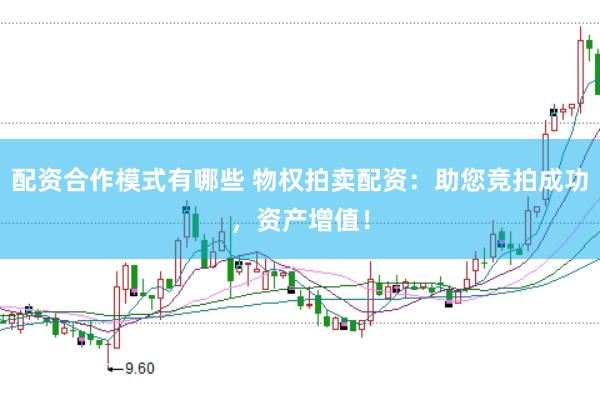 配资合作模式有哪些 物权拍卖配资：助您竞拍成功，资产增值！