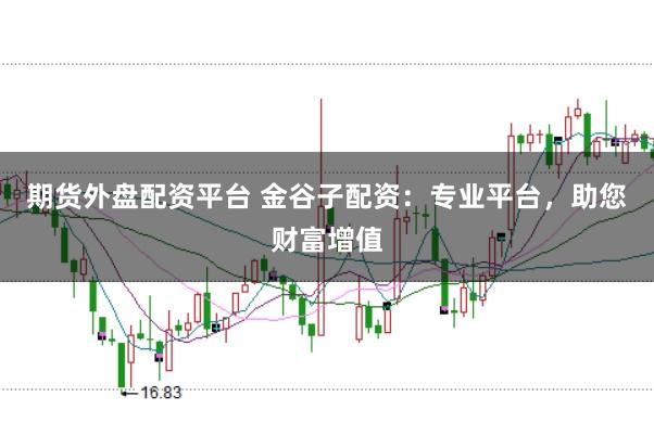 期货外盘配资平台 金谷子配资：专业平台，助您财富增值