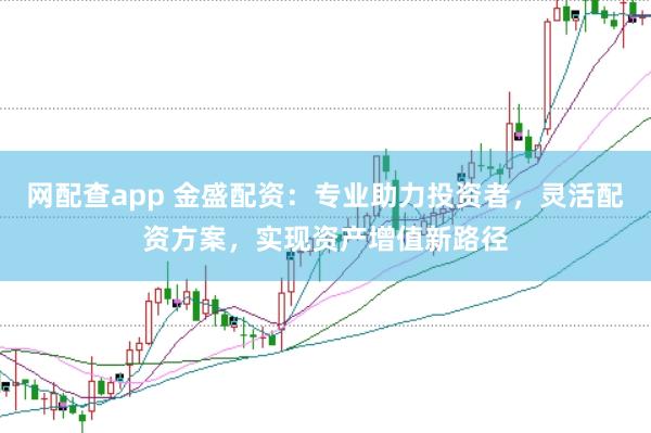 网配查app 金盛配资：专业助力投资者，灵活配资方案，实现资产增值新路径