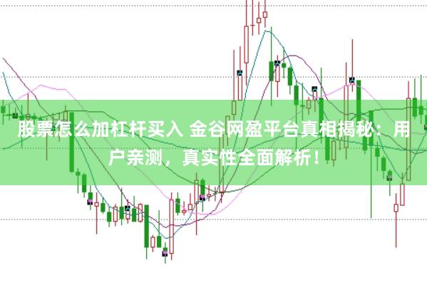 股票怎么加杠杆买入 金谷网盈平台真相揭秘：用户亲测，真实性全面解析！