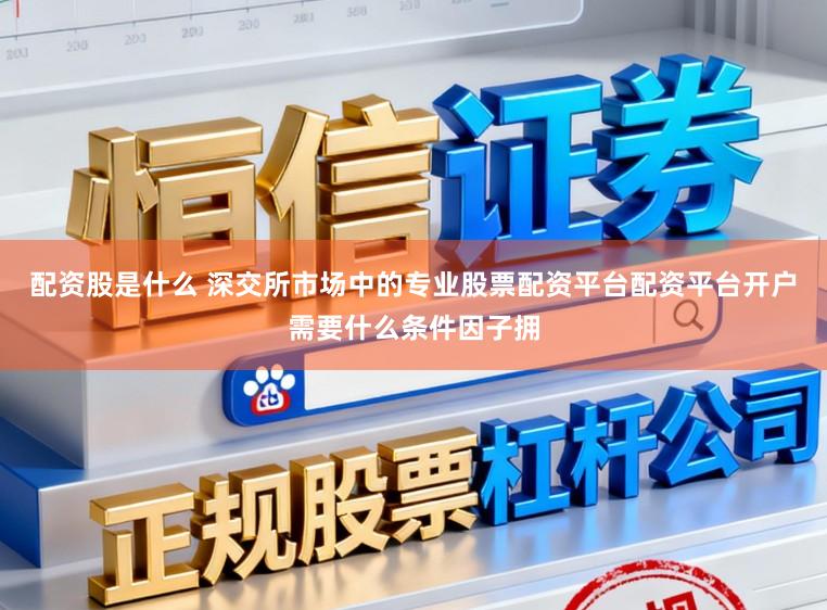 配资股是什么 深交所市场中的专业股票配资平台配资平台开户需要什么条件因子拥
